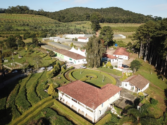 Uso de drones na olivicultura é um dos temas que será abordado