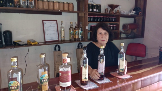 Tudo começou com a produção de cachaça orgânica