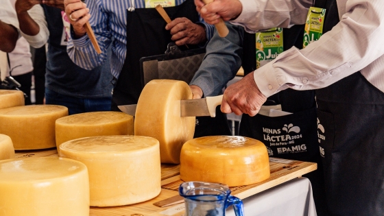 Serão contemplados produtos lácteos não artesanais, elaborados a partir de leite pasteurizado em diversas categorias