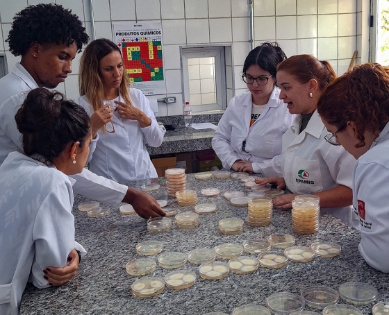 Jovens vestidos de jaleco branco em volta de uma mesa fazendo pesquisa