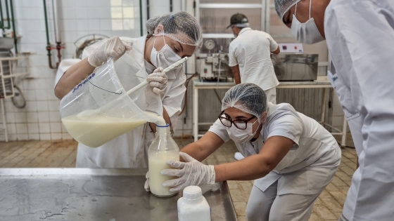 A programação também é voltada à valorização da produção queijeira