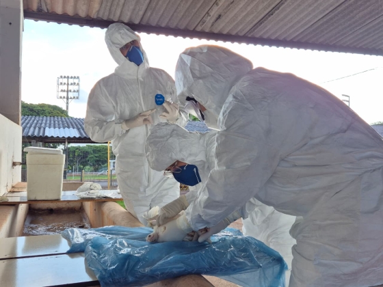 É fundamental o preparo para responder com eficiência caso a emergência sanitária ocorra