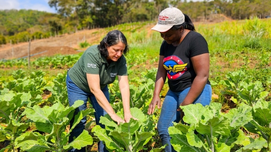 Foram entrevistados, presencialmente, 2 mil produtores rurais de todas as regiões do estado