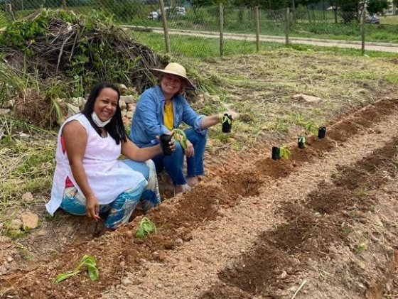 Farmácia Viva em Brumadinho