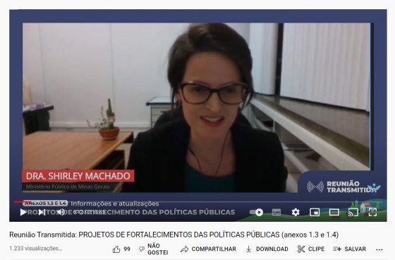 Imagem da transmissão da reunião no Youtube