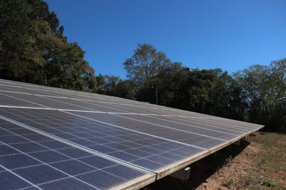 Placas fotovoltaicas