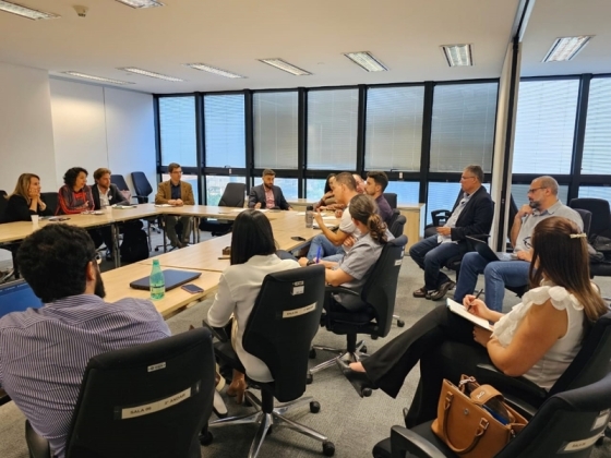 Reunião Brumadinho