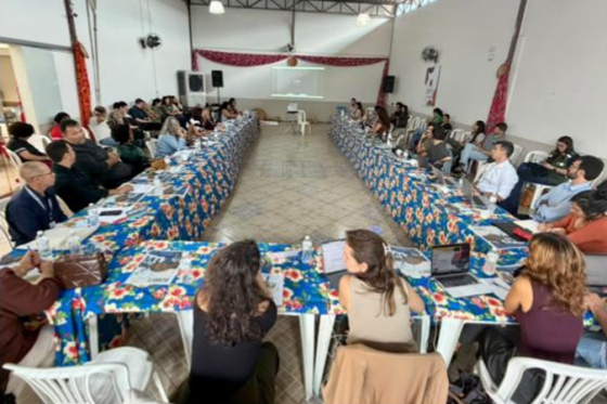 Instância Mineira de Participação Social