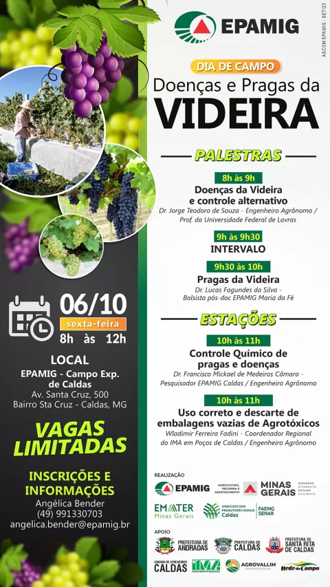 imagem de divulgação do evento que irá acontecer