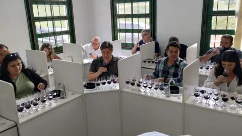 Acervo Pessoal - Angélica Bender.jpeg