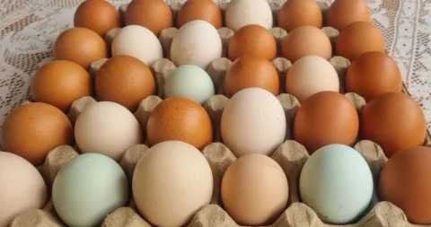 Demanda pelo produto deve crescer mais ao longo do ano, mas produção em Minas Gerais afasta risco de desabastecimento do mercado interno