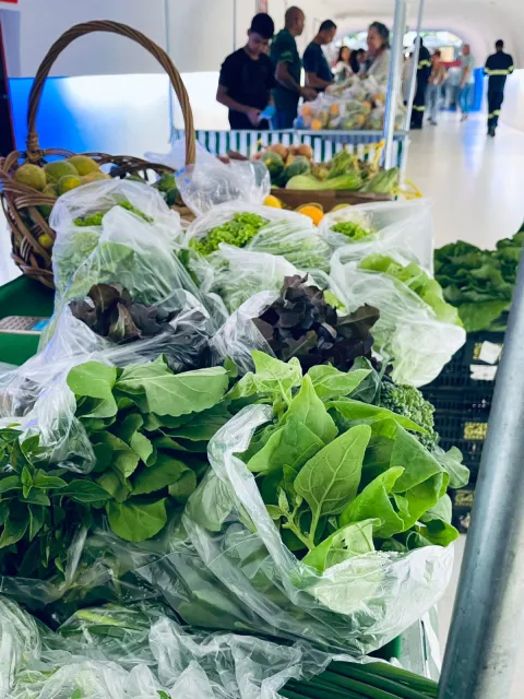 Cidade Administrativa 02/06/2025