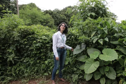 Marinalva Woods pesquisadora da Epamig