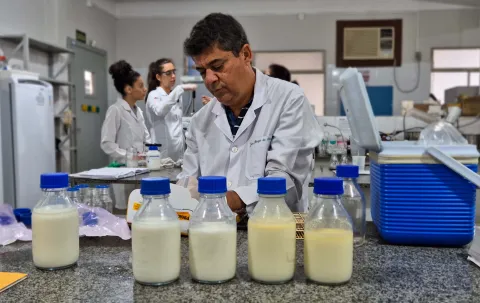 A proposta busca reduzir a mortalidade de prematuros extremos
