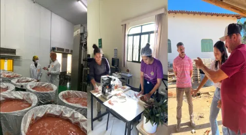 Agricultores COOPERAF