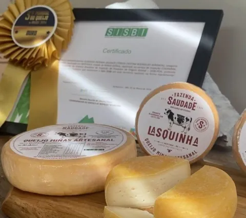 Queijo premiado produzido pelo casal Matheus e Tereza em Ibertioga