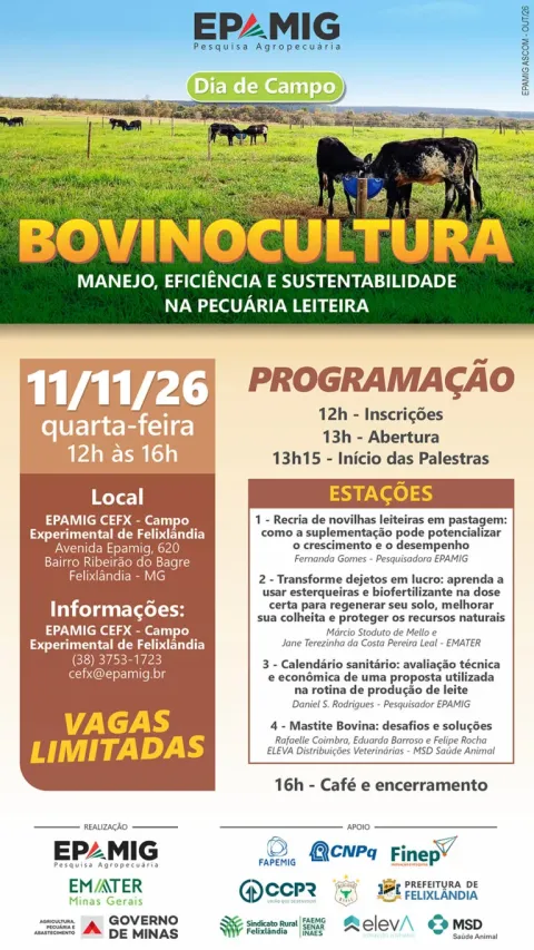 Programação do Dia de Campo de Bovinocultura em Felixlândia