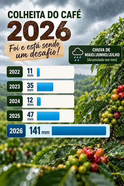 Além de favorecer a queda dos frutos, a chuva manteve o solo úmido por períodos prolongados