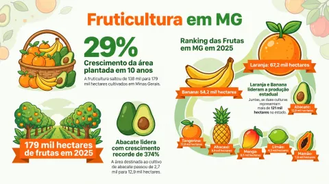 O aumento da procura por alimentos associados a uma alimentação saudável é um dos fatores