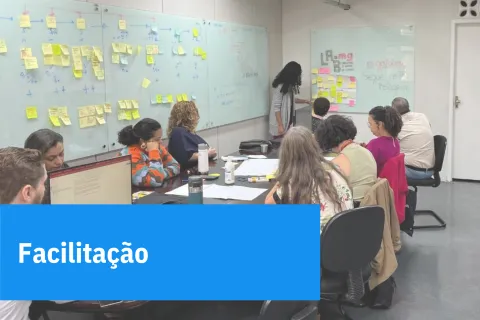 Facilitação 
