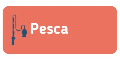 pesca