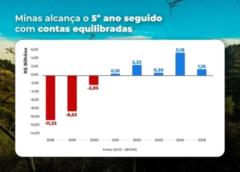Infográfico com os dados completos