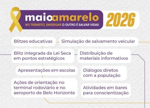 Infográfico Maio Amarelo