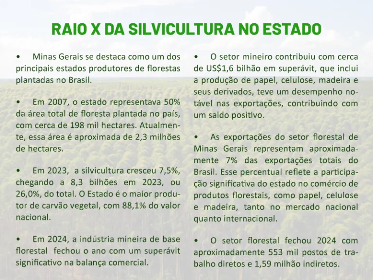 Raio X da silvicultura no estado