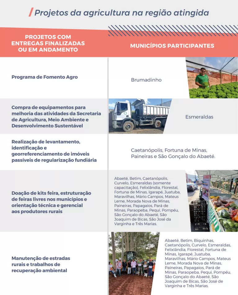 infográfico agricultura