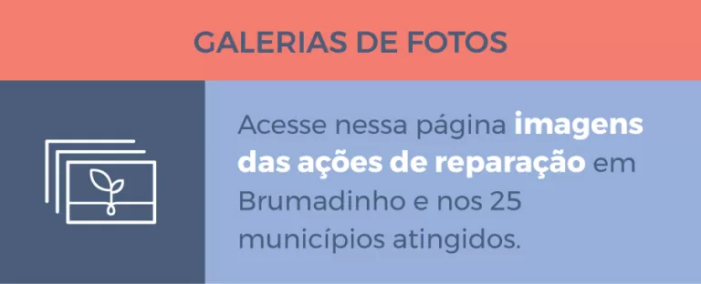 Infográfico galeria de imagens