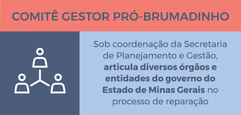 Infográfico Comitê
