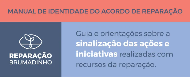 Infográfico Manual de Identidade