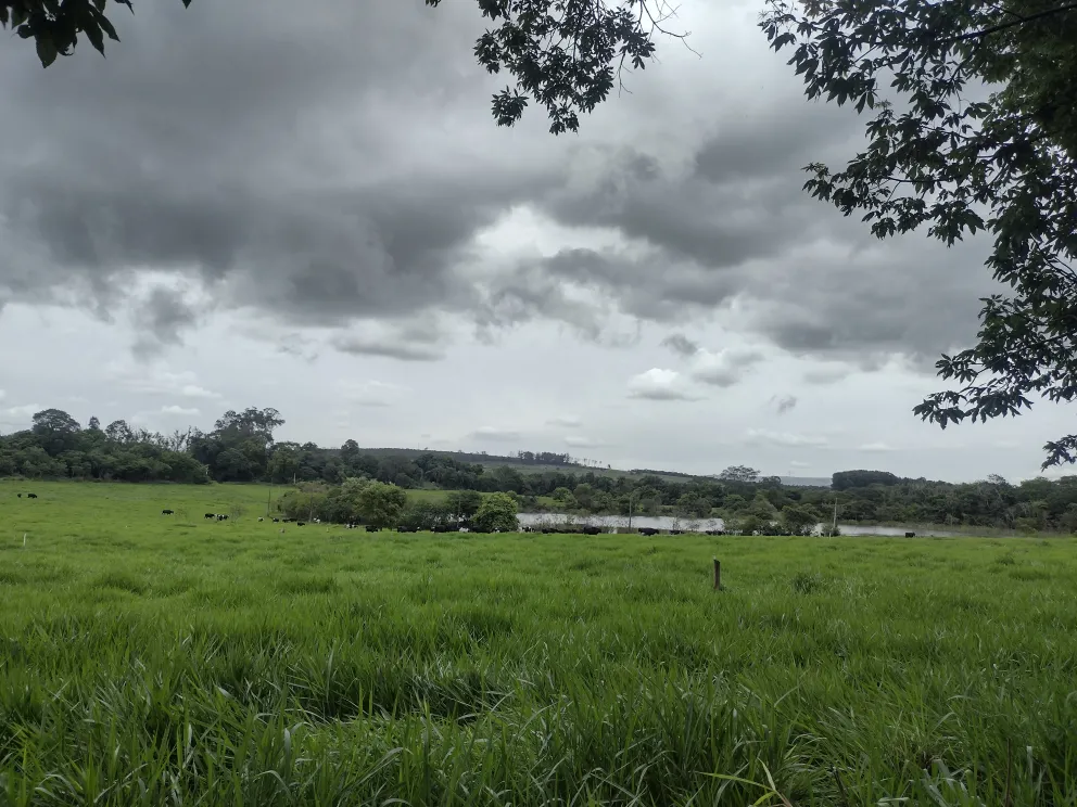 Foto: Arquivo Epamig