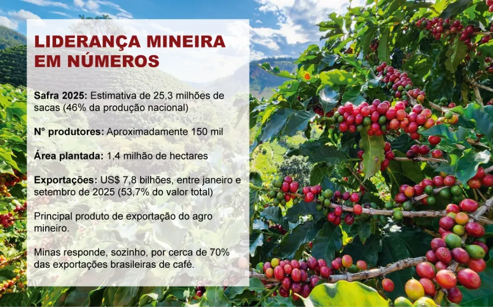 imagem- Divulgação