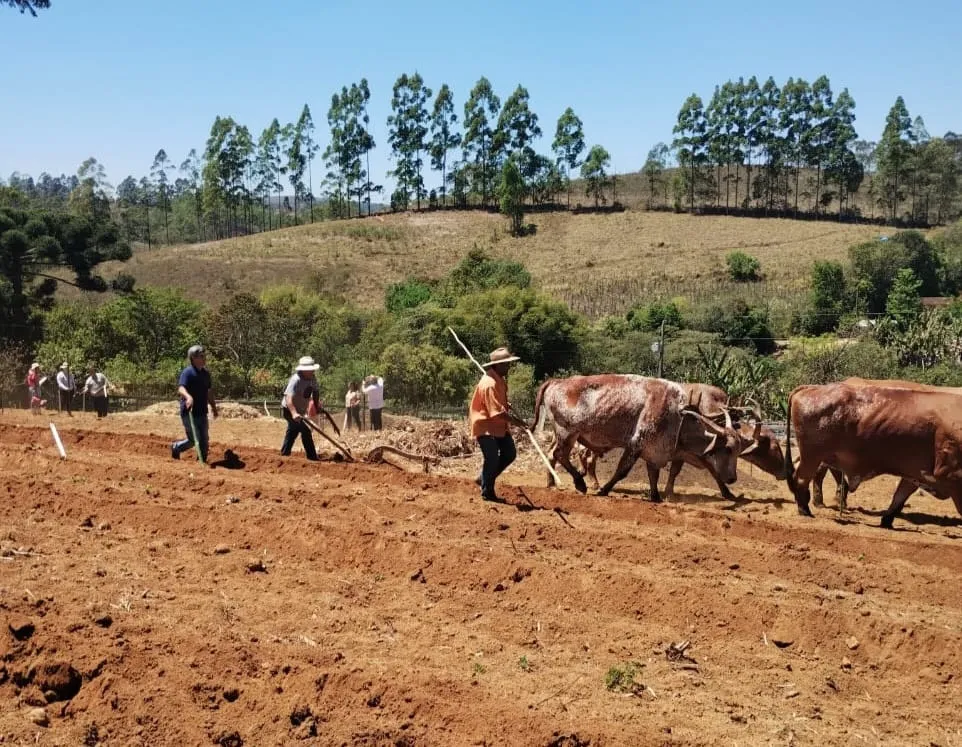 Divulgação Emater-MG