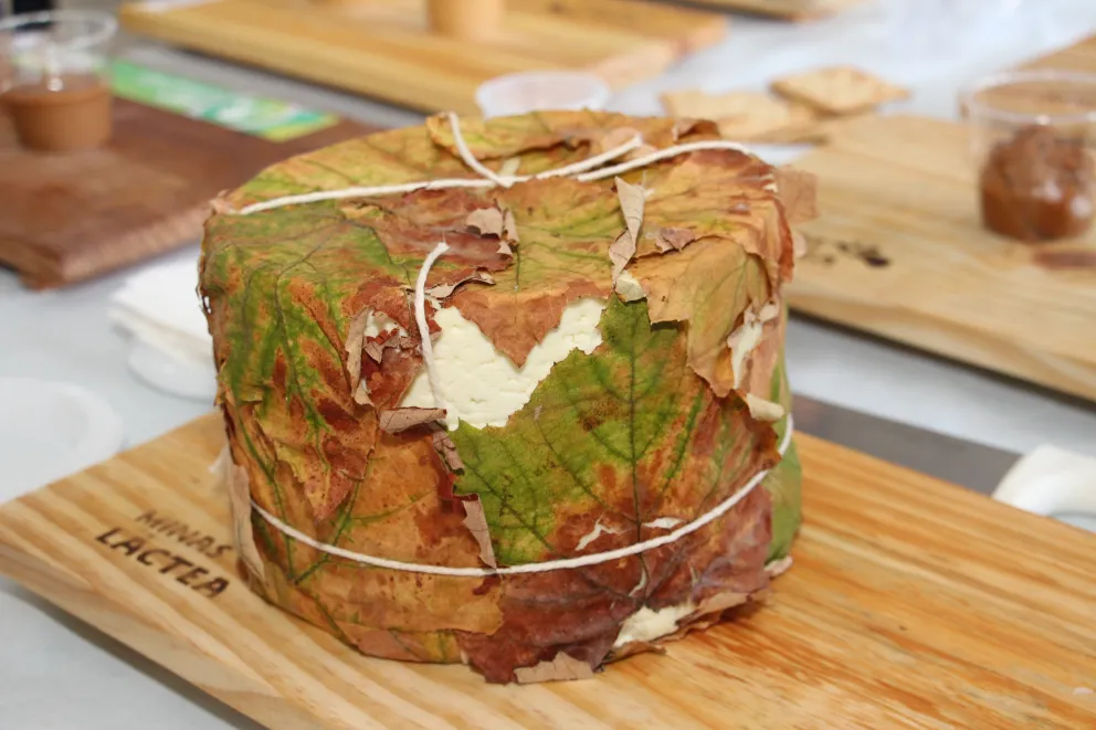 Queijo enrolado com folhas vegetais