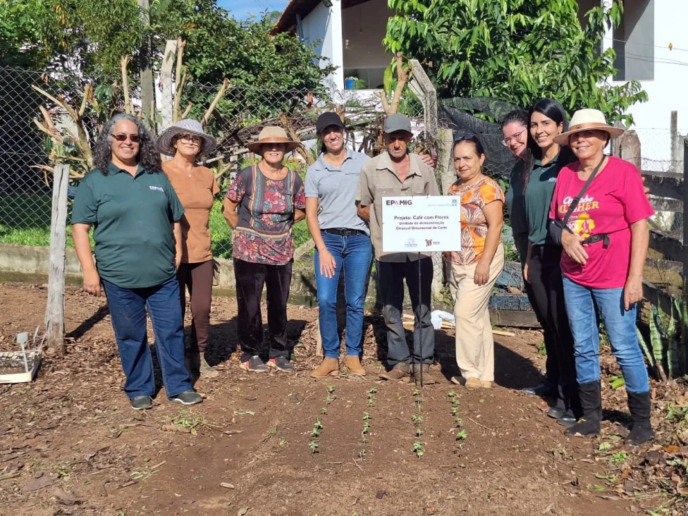 Produtoras de café apostam também na produção de flores