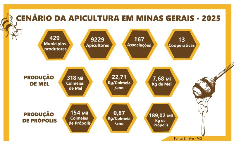 Elaboração Seapa